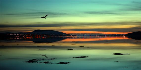 Beauly