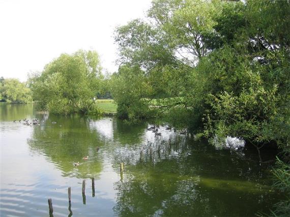 Billericay