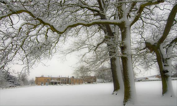 Bingley