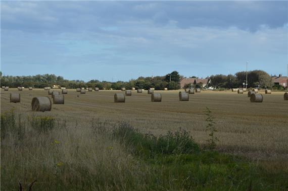 Boldon Colliery