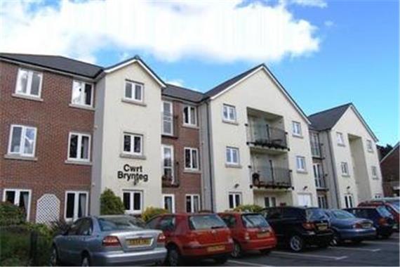 Brynteg