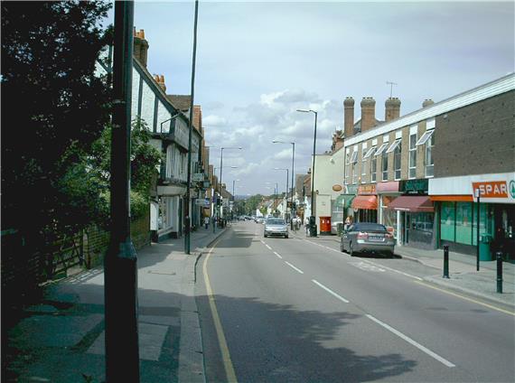 Bushy Mead