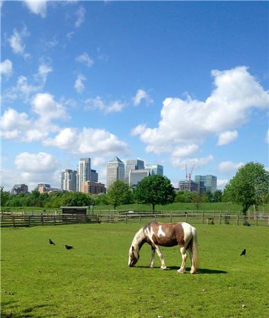 Canary Wharf