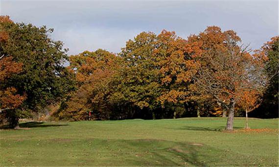 Chingford Green