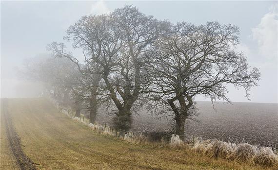 Clackmannanshire