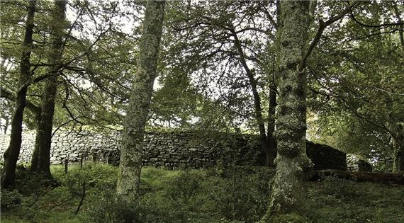 Clogher
