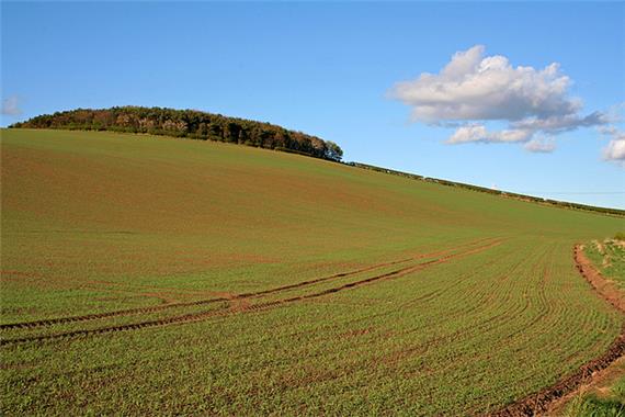 Cornhill-on-Tweed