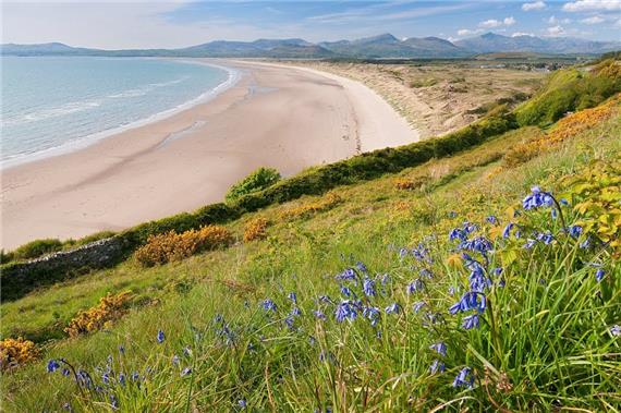 Dyffryn Ardudwy