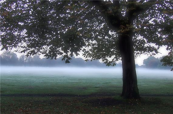 Ealing Common