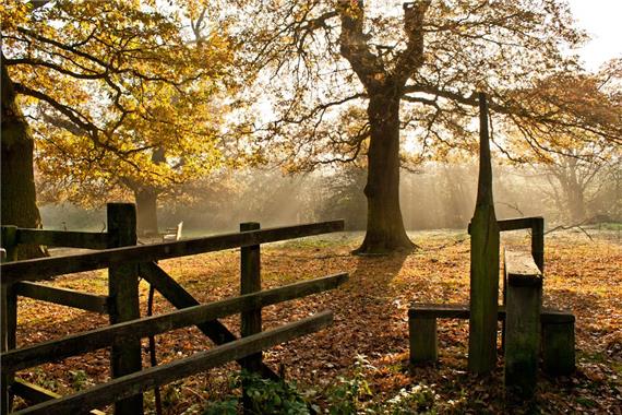 East Riding of Yorkshire