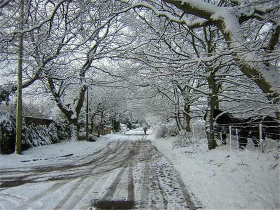 Ferndown