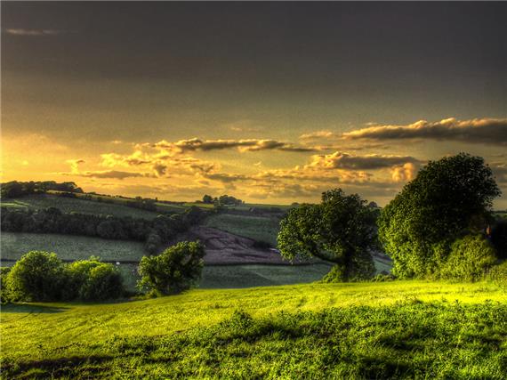 Gloucestershire