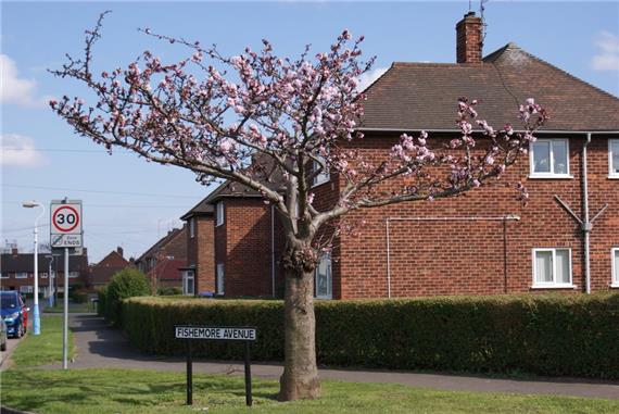 Hessle