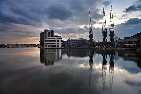 Isle of Dogs