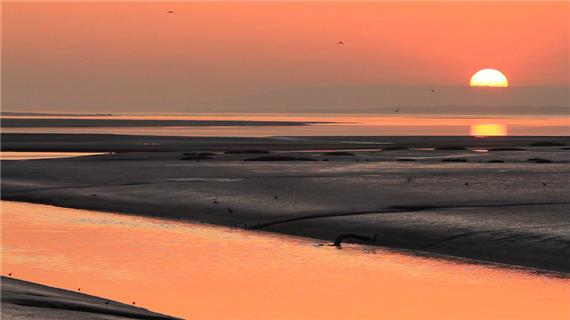 Kidwelly