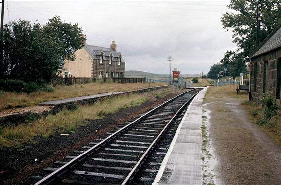 Kinbrace