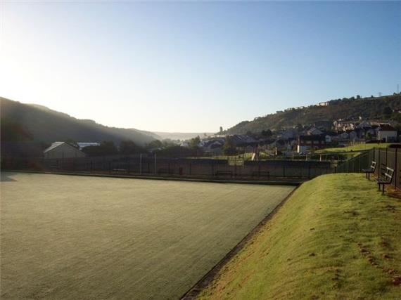 Mountain Ash