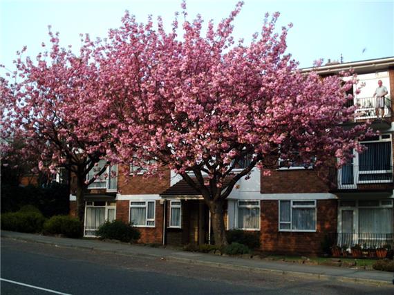 Prenton