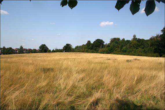 Raynes Park