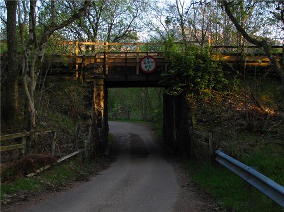 Roy Bridge