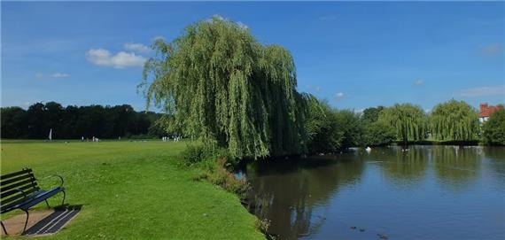Surrey