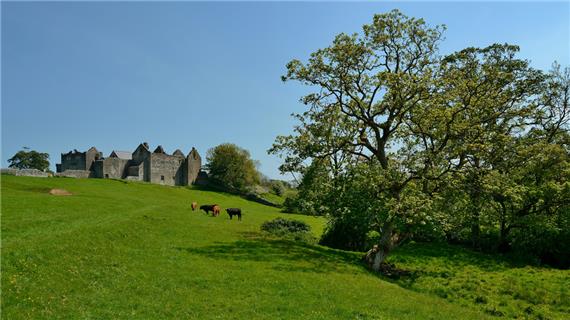 Vale of Glamorgan, The