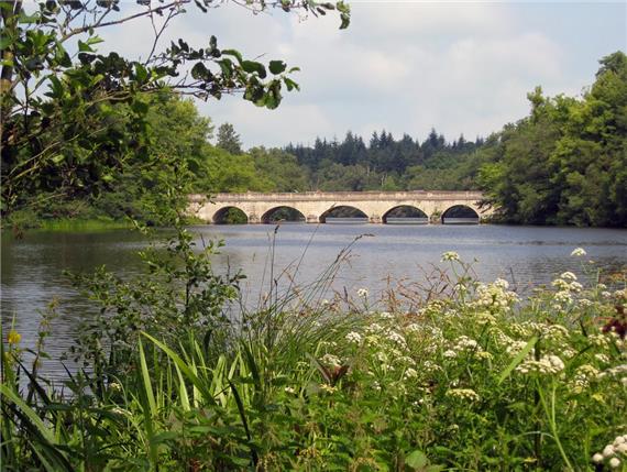 Virginia Water