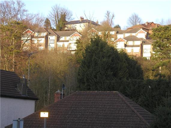 Whyteleafe