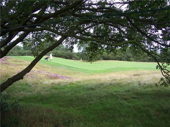 Wimbledon Common