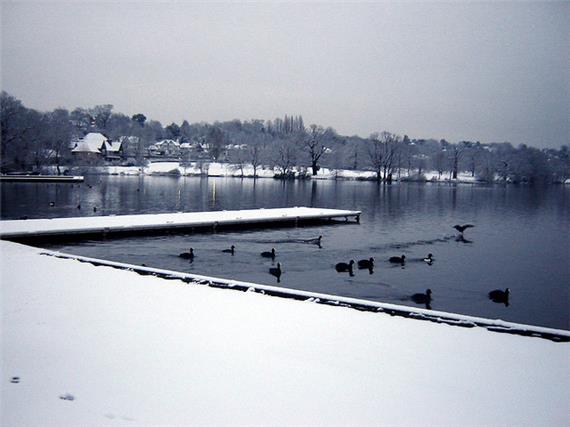 Wimbledon Park