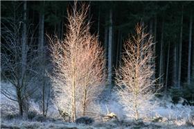 Banchory