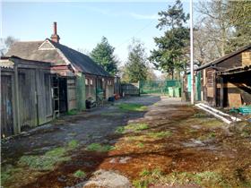 Bostall Heath And Woods