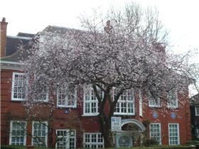 Brondesbury