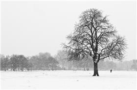 Clapham Common