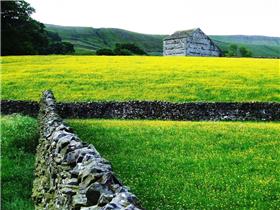Hawes