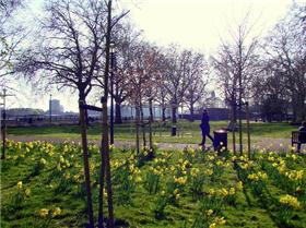 Island Gardens