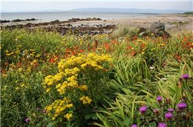 Isle of Arran