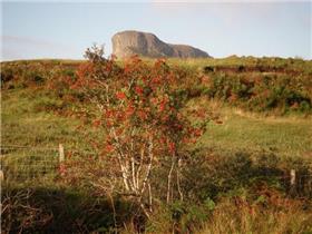 Isle of Eigg