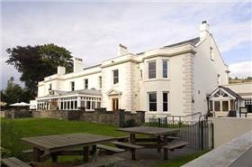 Mountain Ash