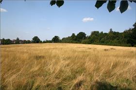 Raynes Park