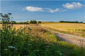 Shefford