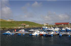 Shetland