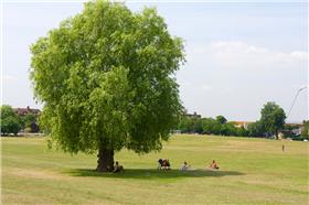 Streatham Park