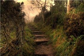 Tillicoultry
