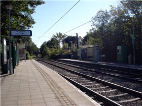 Woodside