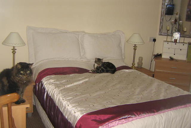  Image of 2 Bedroom   To Rent at Elmcroft Close, Feltham TW14