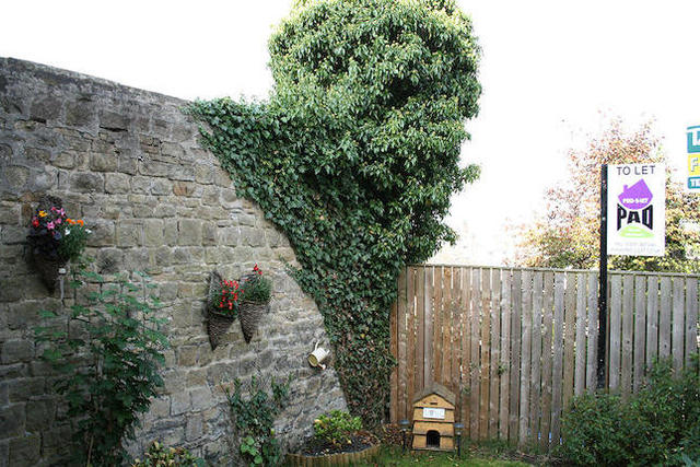  Image of 3 Bedroom End Of Terrace  To Rent at 8 Record Street, Barnoldswick BB18