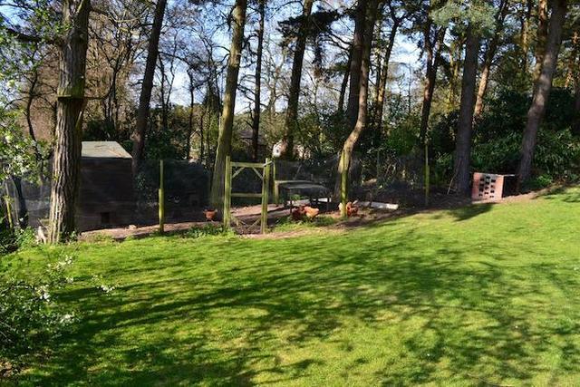  Image of 4 Bedroom Detached Bungalow  For Sale at Birks Drive, Ashley Heath, Market Drayton TF9