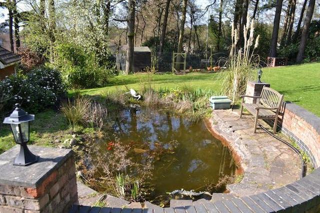  Image of 4 Bedroom Detached Bungalow  For Sale at Birks Drive, Ashley Heath, Market Drayton TF9