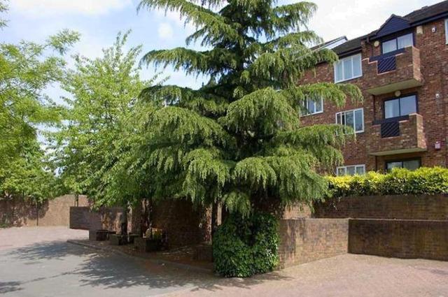  Image of 1 Bedroom Flat for sale at Maple Mews, London SW16